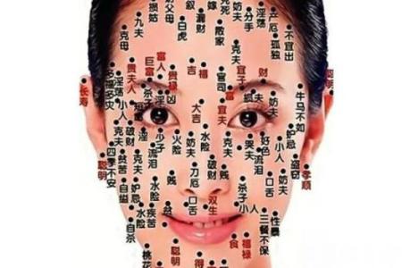 揭秘女人脸很长与命运的秘密，探索美与个性的深层联系