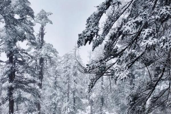 冬天出生的人：冰雪中的灵魂，生命中的独特风景