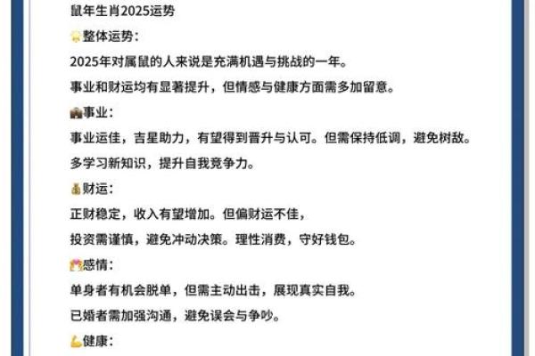 2028年鼠年命运解析：探秘水鼠的五行与人生智慧