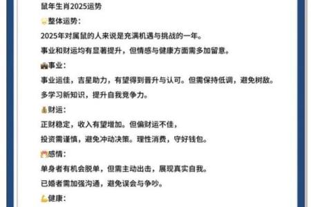2028年鼠年命运解析：探秘水鼠的五行与人生智慧