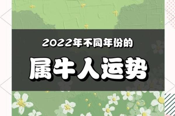 2021年牛年：属牛人的命运与运势探秘，揭示你的人生潜能与发展方向