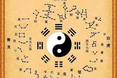 冬月十一的人命理解析：五行八字与个性运势的深度探索