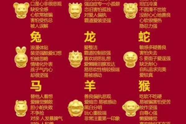 1984年出生的属相及其命理解析：揭示命运的神秘之旅