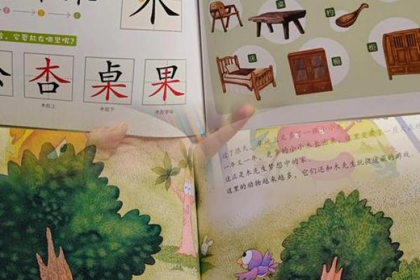 探索汉字的奥秘：部首与结构的魅力