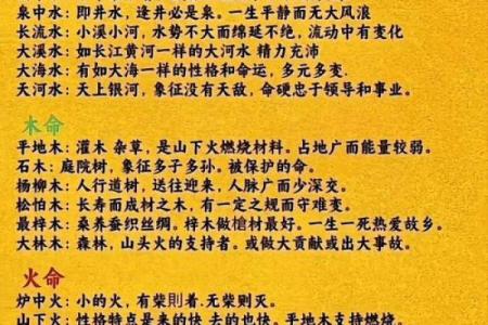 八五年金命的图案选择：如何提升你的运势与气场