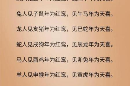 红鸾入命与天喜入命的深刻解析与人生启示