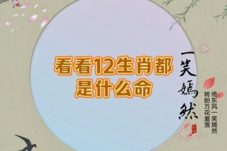 根据生肖看命运，揭示你的性格与未来！