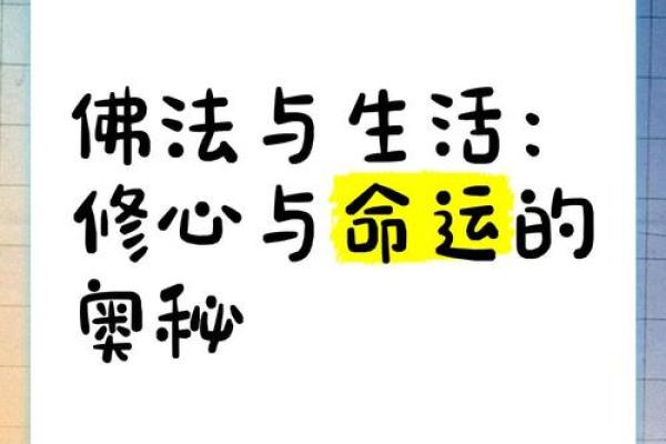 肩膀宽窄，性格命运的奥秘探讨与解析