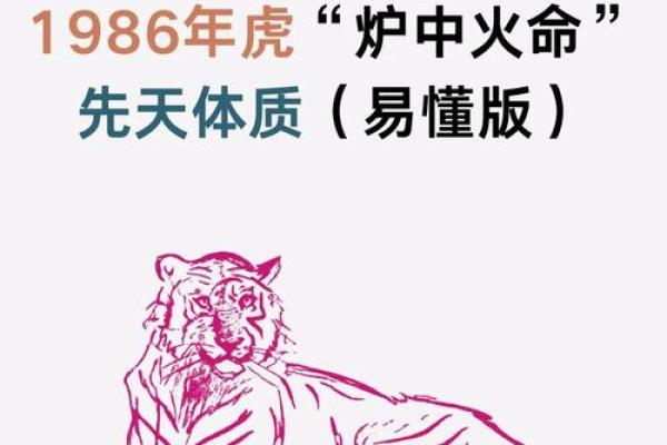 火命过旺的隐患与调和之道 如何平衡五行能量