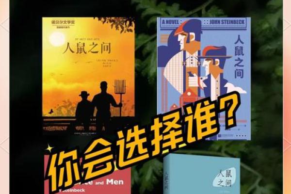 1972年出生的鼠命人：了解他们的性格与命运之旅
