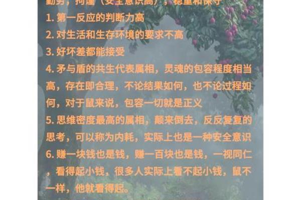 1972年出生的鼠命人：了解他们的性格与命运之旅