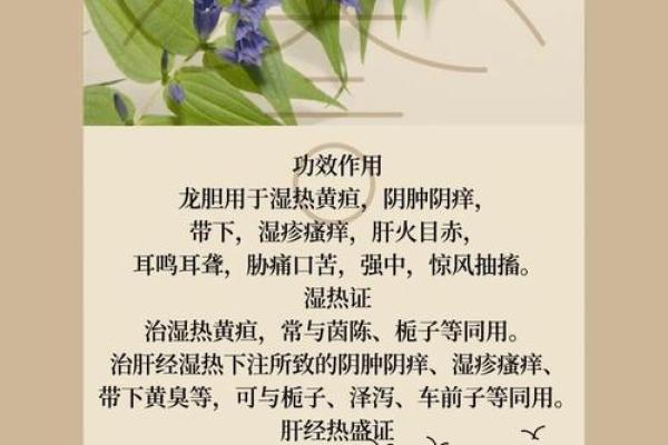 金命之人应选择的植物与忌讳, 让生命更加绚烂！