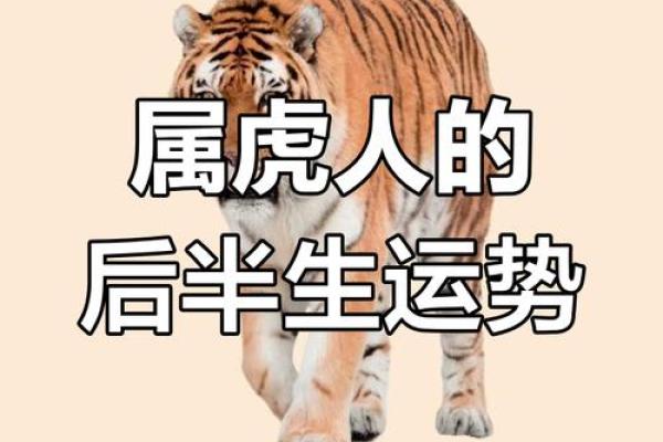 2010年属虎人的命运分析与人生指南