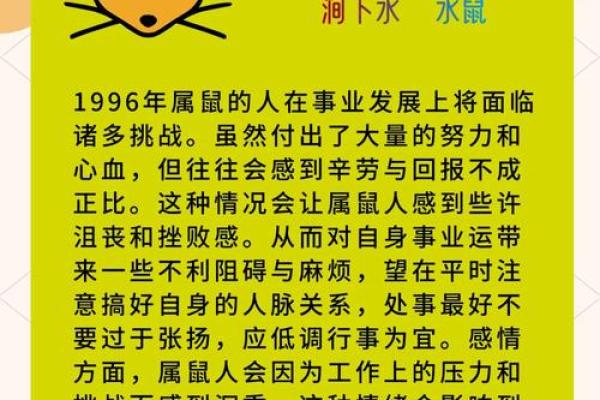 1984年属鼠人的命运解析：勇敢与智慧的结合之旅