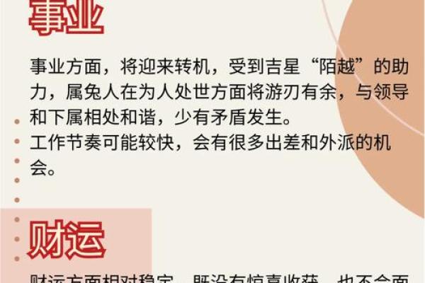 2023年兔年运势与命理解析：探秘兔人的人生道路与发展机会