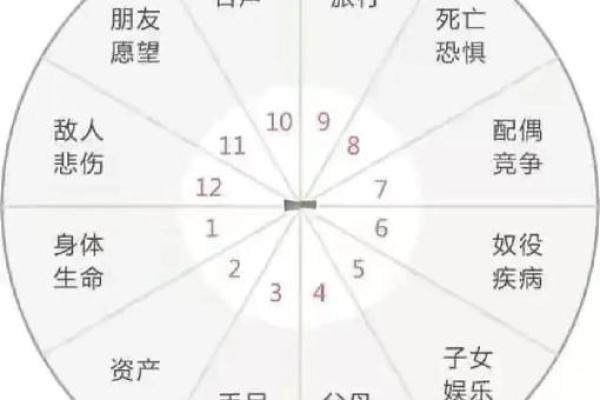 2011年出生命格解析：揭示其独特人生轨迹与发展潜力