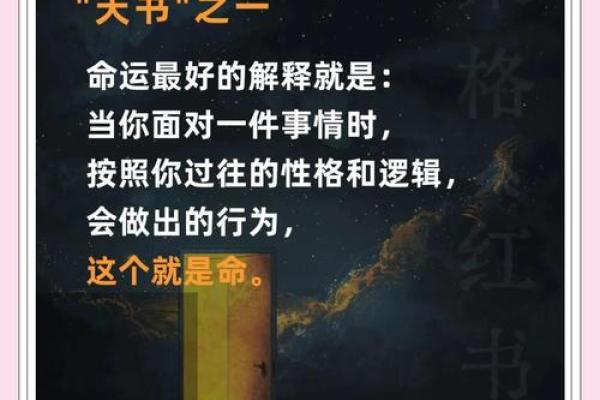 探秘七条命的命格与影响：揭示命运背后的奥秘