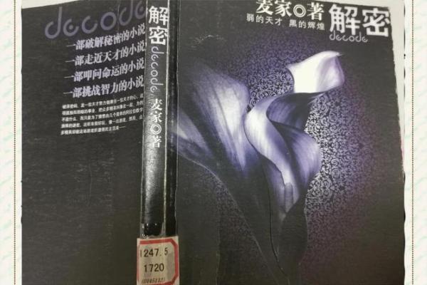 解密1996年未时出生者的命运：天赋与挑战并存的生活旅程