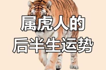2010年属虎人的命运分析与人生指南
