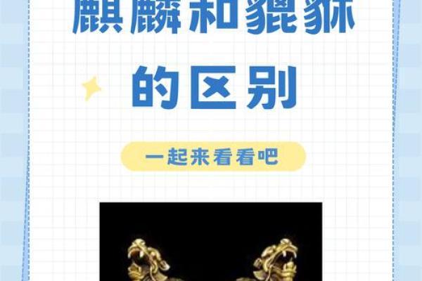 揭开富贵型命的神秘面纱：财富与成功的命理解读