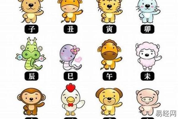 2023年属狗之命解析：探索性格、运势与吉凶