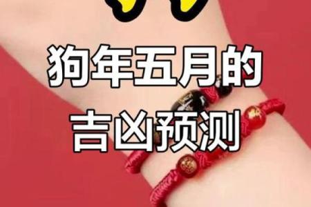 2023年属狗之命解析：探索性格、运势与吉凶