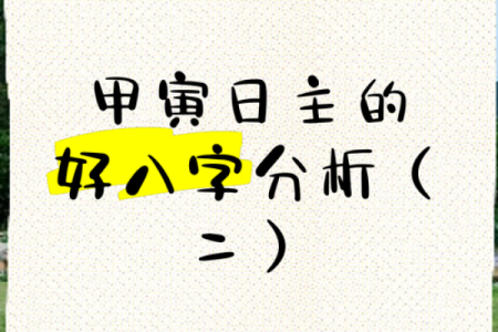 揭秘甲寅丙寅命人：命理中的华丽与坚韧之旅
