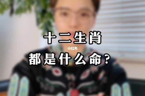 捡回条命：解析与生肖的奇妙关系