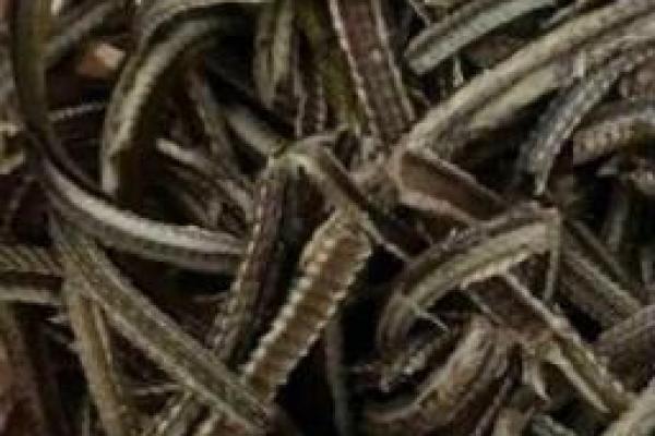 探秘厚脚宝宝命运，揭示神秘出生特征背后的奥秘！