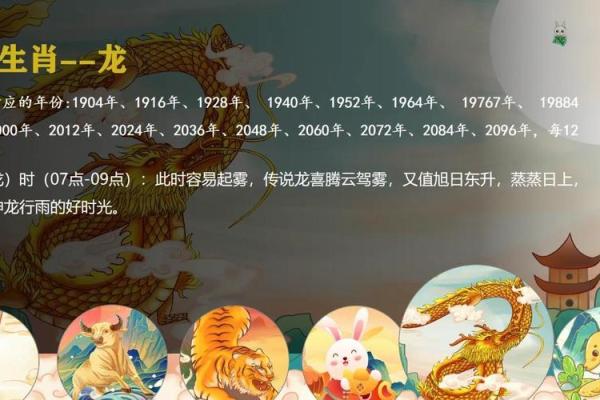 1964年出生的人：从属相看命运与人生的精彩之旅