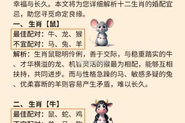 揭秘生肖命理：如何根据属相找到生命的指引与智慧