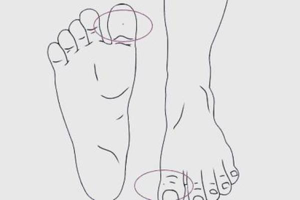 脚趾弯曲的命运：透视你的生活与性格奥秘