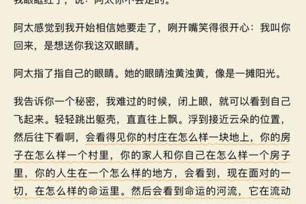 2003年出生的人命运解析：命理与人生的奇妙旅程