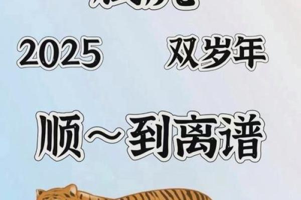 2974年虎年命运解析：揭秘生肖虎的神秘之旅