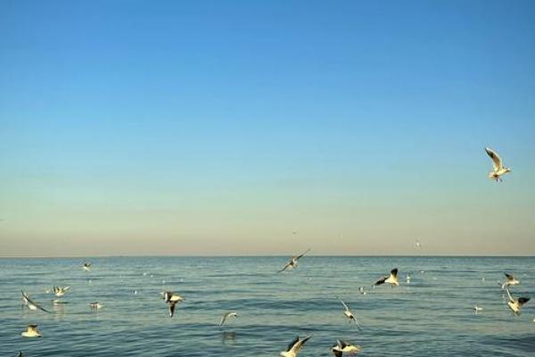 探索one命的深意：生命的独特与珍贵之旅