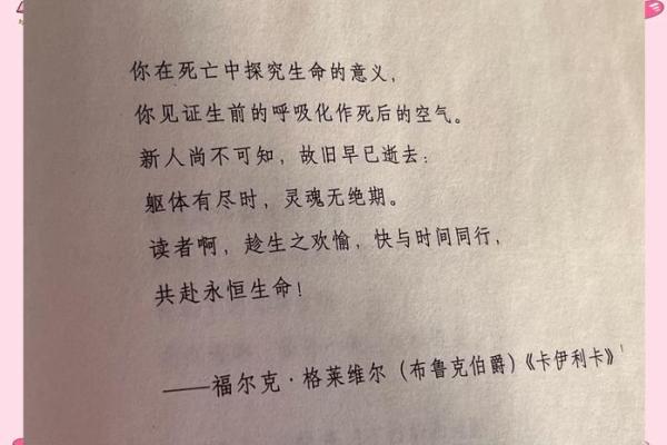 探索one命的深意：生命的独特与珍贵之旅