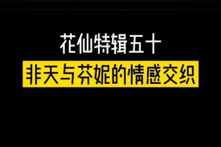 夺爱之命：情感交织的故事与那曲动心的插曲