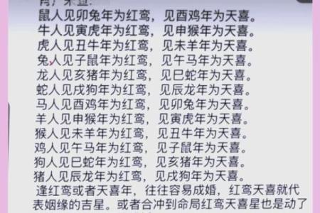 揭秘1980年出生的猴年人的命运与运程