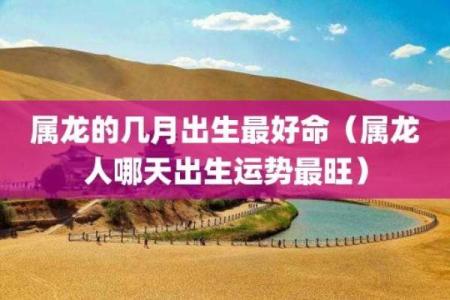 1978年属龙的人命运解析：探索巅峰与风云的精彩人生