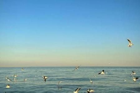 探索one命的深意：生命的独特与珍贵之旅