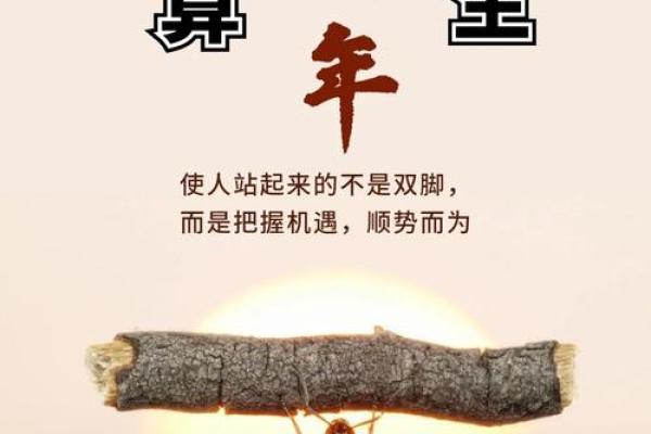 探索2022年11月：改变命运的时刻与机遇