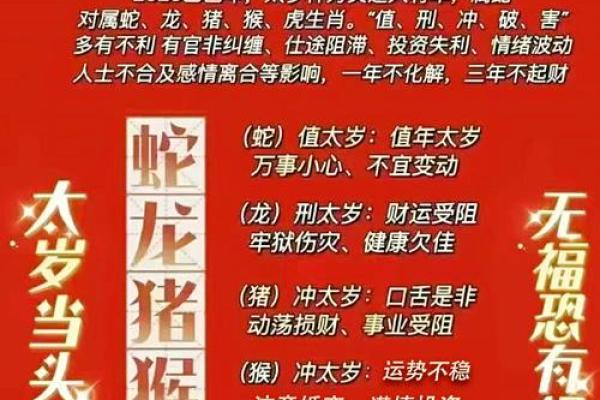 2205年属什么命？揭开未来命运的神秘面纱！