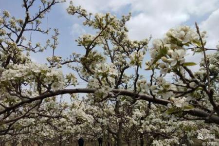 1979年的秋天 抚今追昔的温暖记忆与梦想之旅