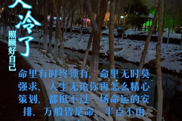 1997年正月十九出生的人命运解析与人生启示