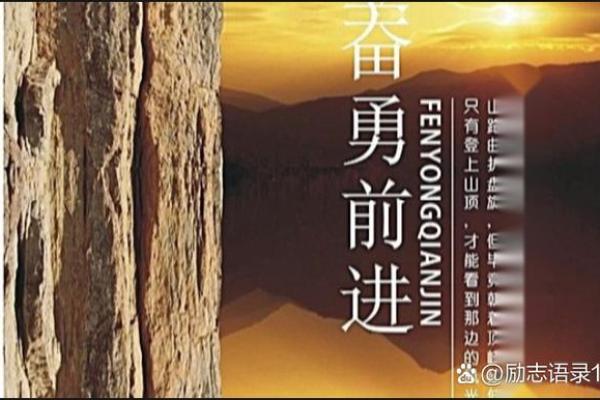 2003年命运之车：探索人生的选择与成长