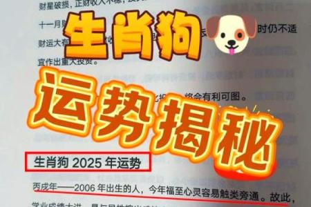 2006年农历属狗：性格分析与命理揭秘