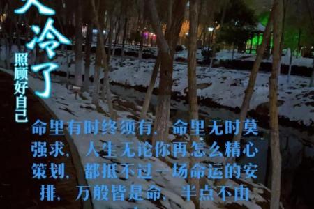 1997年正月十九出生的人命运解析与人生启示