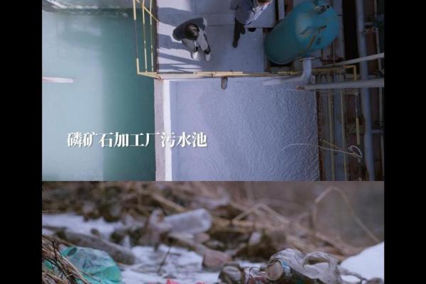 丑时之子：命理解析与五行水的深度探讨