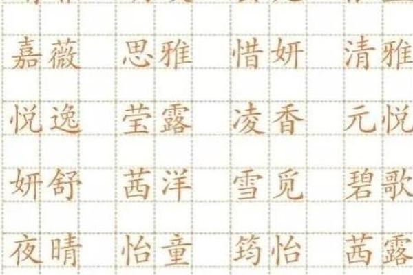 猪年宝宝命理解析：幸福人生的象征与性格特点