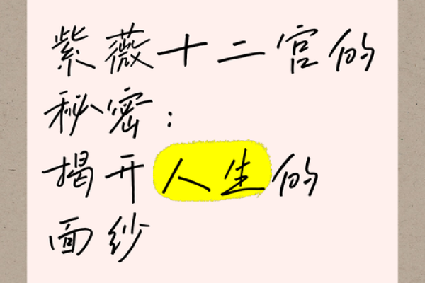 命里带紫薇，人生的神秘指引与奇妙启示